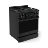 RSG30B 101971106.png